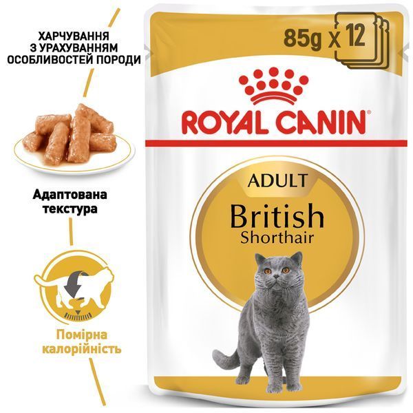 Вологий корм для британських котів та кішок Royal Canin (Роял Канін) British Shorthair Adult пауч (у соусі) 85 г/12 шт. RC 2032001 (x12) фото