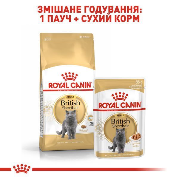 Вологий корм для британських котів та кішок Royal Canin (Роял Канін) British Shorthair Adult пауч (у соусі) 85 г/12 шт. RC 2032001 (x12) фото