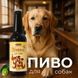 Пиво для собак со вкусом индейки, 0.33 л, MODES ЗС000381 фото 2