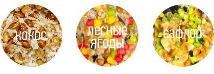 Коктейль колосок для волнистых попугаев "Сафлор, лесные ягоды, кокос" 90 г (3 шт) 6785096 фото