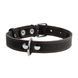 Ошейник "CoLLaR" одинарный (ширина 25мм, длина 38-50см) черный 01331 фото 2