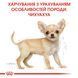 Сухий корми для цуценят Чіхуахуа Royal Canin (Роял Канін) Chihuahua Puppy 1,5 кг 24380151 фото 5
