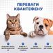 КВАНТЕФЕН (Kvantefen) антигельминтные таблетки для собак больших пород, 1 таб на 20кг (4 табл.), MODES (от гельминтов) ЗС000380 фото 3