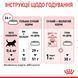Сухий корм Royal Canin (Роял Канін) для кошенят до 12 місяців Kitten 2 кг. RC 2522020 фото 9