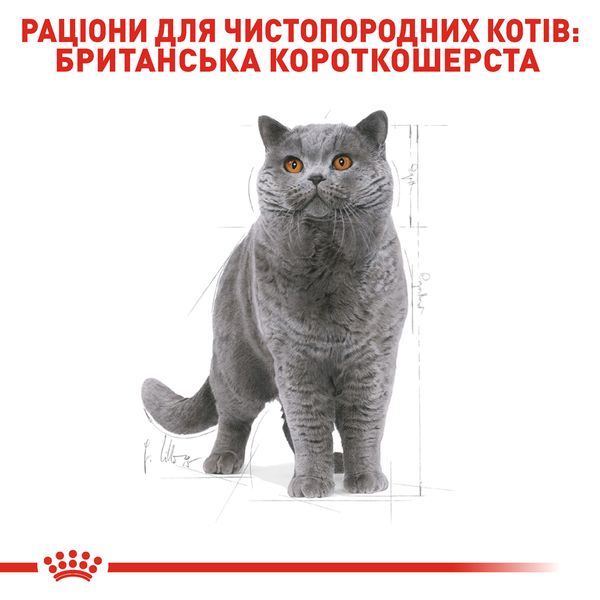 Royal Canin (Роял Канин) сухой корм для кошек и котов British Shorthair 0,4 кг. RC 2557004 фото