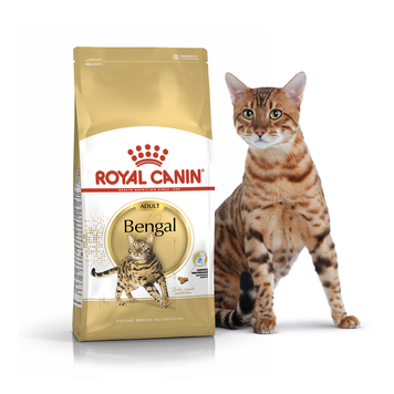 Сухий корм для котів та кішок Royal Canin (Роял Канін) Bengal 2 кг. 4370020 фото
