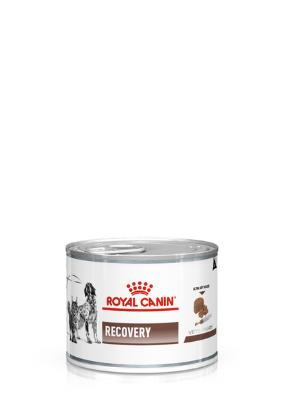 Вологий корм для собак у період підтримки організму Royal Canin (Роял Канін) Recovery dog/cat консерва 195 г.(паштет)/12 шт. RC 40550021 (x12) фото