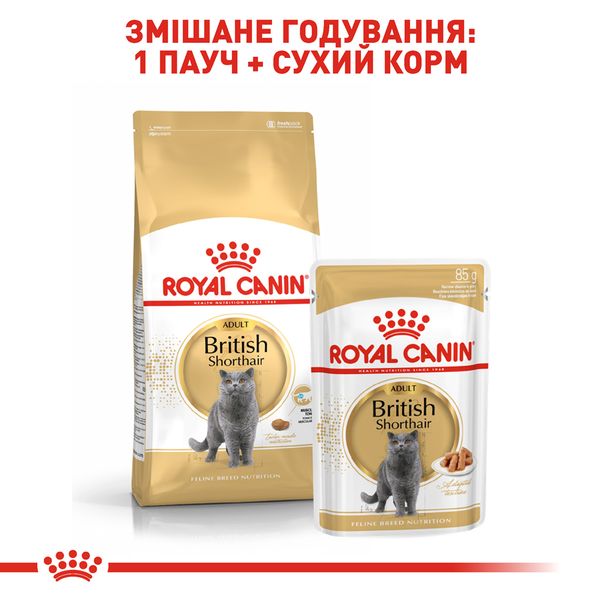 Royal Canin (Роял Канин) сухой корм для кошек и котов British Shorthair 2 кг. RC 2557020 фото