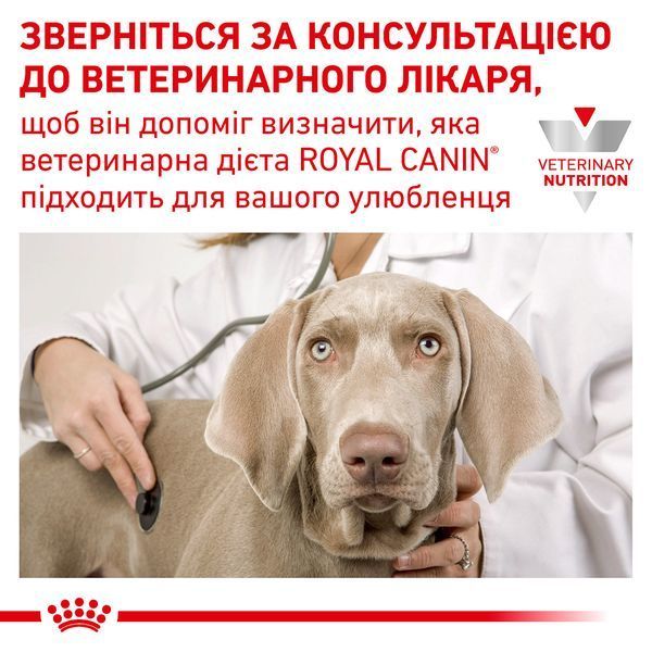 Вологий корм для собак у період підтримки організму Royal Canin (Роял Канін) Recovery dog/cat консерва 195 г.(паштет)/12 шт. RC 40550021 (x12) фото
