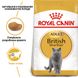 Royal Canin (Роял Канин) сухой корм для кошек и котов British Shorthair 2 кг. RC 2557020 фото 6