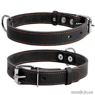 Ошейник для собак Collar, одинарный, размер M (38-50 см/25 мм), натуральная кожа, черный 32586369 фото