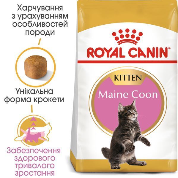 Сухий корм для кошенят мейн-кунів Royal Canin (Роял Канін) Mainecoon Kitten 2 кг. RC 2558020 фото