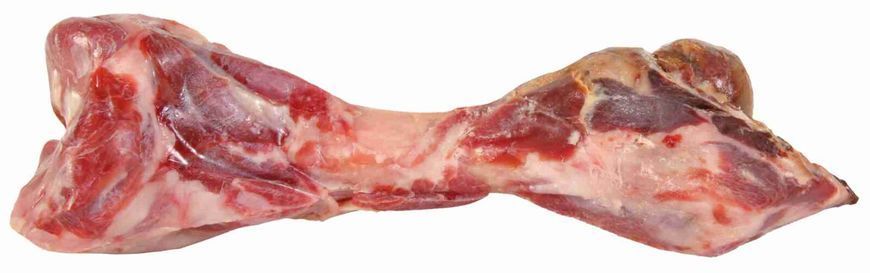 Ласощі Trixie Ham bone для собак Кістка окосту 24 см 390 г 2756 фото