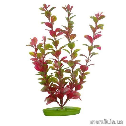 Пластиковое растение Hagen RED LUDWIGIA 30см 41460153 фото
