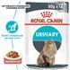Влажный корм Royal Canin (Роял Канин) Urinary Care для профилактики мочекаменной болезни (в соусе) 85 г/12 шт. RC 4157001 (x12) фото 9