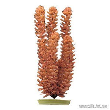 Пластиковое растение Hagen FOXTAIL 30см 41460160 фото