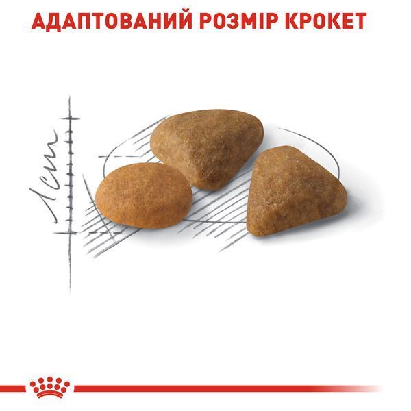 Сухий корм Royal Canin (Роял Канін) для котів вибагливих до смаку продукту Exigent Savour 2 кг RC 2531020 фото