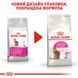 Сухий корм Royal Canin (Роял Канін) для котів вибагливих до смаку продукту Exigent Savour 2 кг RC 2531020 фото 9
