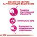 Сухий корм Royal Canin (Роял Канін) для котів вибагливих до смаку продукту Exigent Savour 2 кг RC 2531020 фото 5