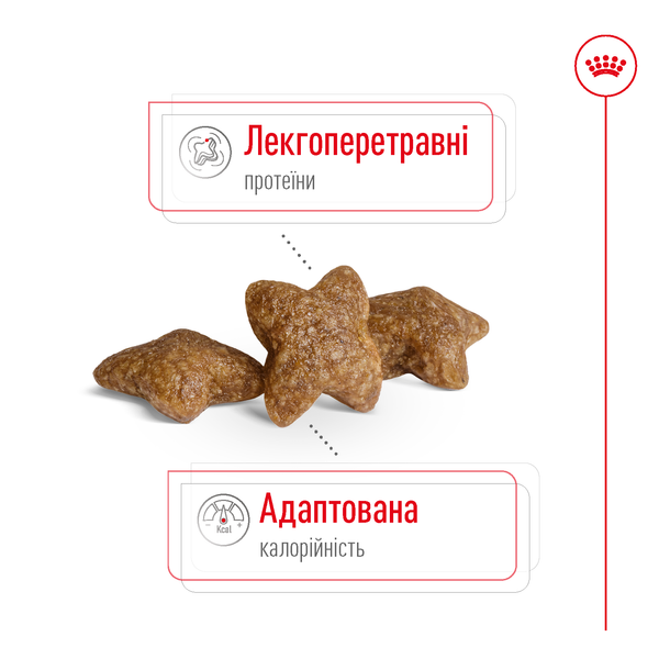 Сухой корм для собак Royal Canin (Роял Канин) Mini Adult 4 кг 3001040 фото