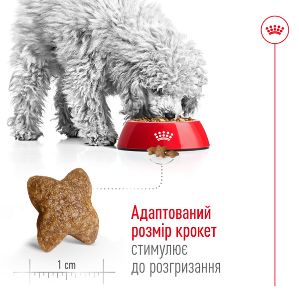 Сухой корм для собак Royal Canin (Роял Канин) Mini Adult 4 кг 3001040 фото