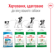 Сухой корм для собак Royal Canin (Роял Канин) Mini Adult 4 кг 3001040 фото 6