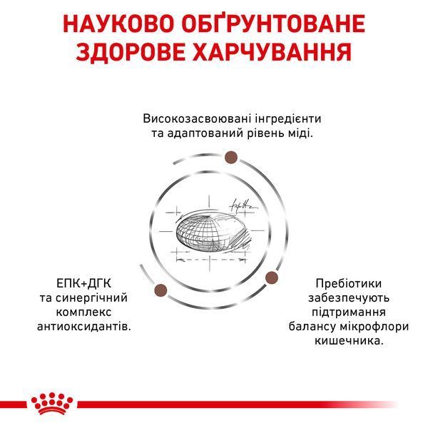 Сухой корм для кошек и котов Royal Canin (Роял Канин) Hepatic Feline 4 кг. R447972 фото