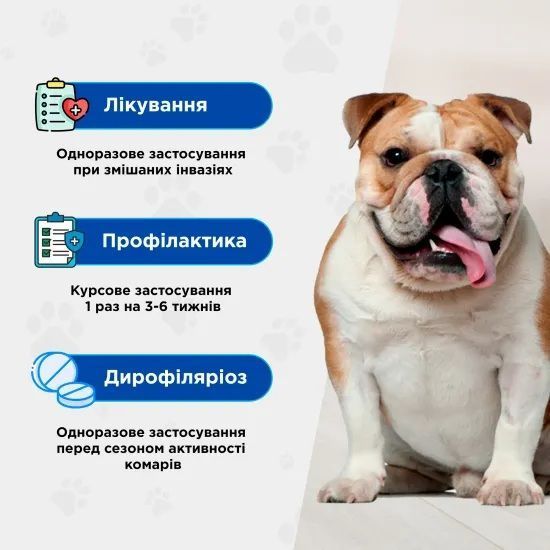 Квадромідас протипаразитарні таблетки для собак 32-64 кг, 3,2 г, MODES (від бліх, кліщів, гельмінтів) ЗС000383 фото
