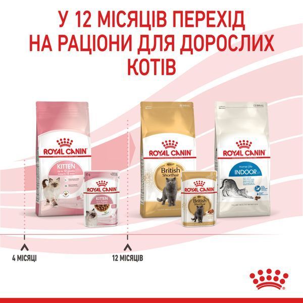 Вологий корм Royal Canin (Роял Канін) Kitten для кошенят від 4 до 12 місяців пауч (у соусі) 85 г/12 шт. RC 4058001 (x12) фото