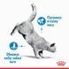 Влажный корм Royal Canin (Роял Канин) Light Weight облегченный, для животных склонных к полноте пауч (в соусе) 85 г/12 шт. RC 40700011 (x12) фото 5