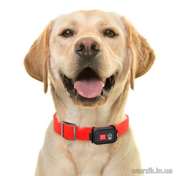 GPS-трекер для определения местоположения животного WAUDOG DEVICE 42078602 фото