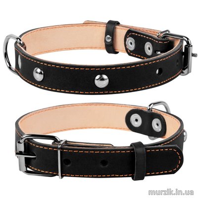 Ошейник для собак Collar, двойной, с украшением, размер M (38-50 см/25 мм), натуральная кожа, черный 32586462 фото