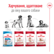 Сухой корм для собак средних пород Royal Canin (Роял Канин) Medium Adult 15 кг. 3004150 фото 5