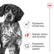 Сухой корм для собак средних пород Royal Canin (Роял Канин) Medium Adult 15 кг. 3004150 фото 4