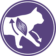 Высокое содержание белка Royal Canin Sterilised